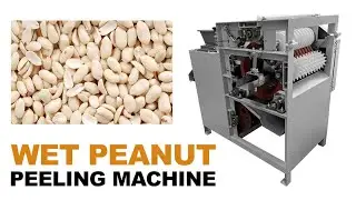 Wet Type Peanut Red Skin Peeling Machine|Wet Peanut Skin Removal Machine|Wet Peanut Peeler Machine