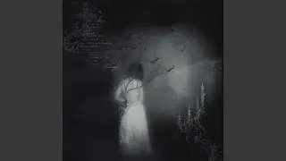 revenge (Slowed)