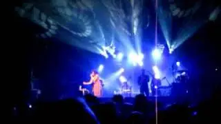 bonobo4.mp4
