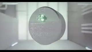 R. STAHL - The PurgEx Indicator