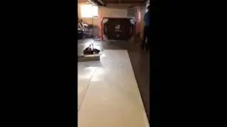 Handy hockey