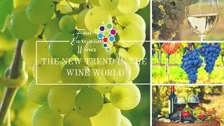 NEW WINE TRENDS | FINE EUROPEAN WINES
