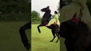 HAMMER Ninja song #ninja #punjabisong #song #newsong #hammer #hammer
