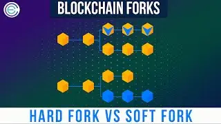 What are Blockchain Forks?  Hard Fork Vs Soft Fork | Cryptela