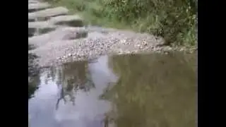 Nagrijuli  Tamulpur Nagrijuli Road