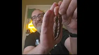 🔥Chocolate Primotalii From Hell? The Hottest Chocolate Primotalii I’ve Ever Survived 🌶️🔥