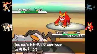 Pok&eacute;mon BW Random WiFi Singles