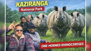 Land of One-Horned Rhinos | Kaziranga National Park, Assam @Faizfromdarjeeling #assam #dailyvlog 