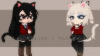 Cat Yumeko and Cat Kirari! [YuMary & KiraSaya]