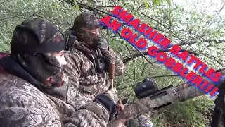 Smasher battles an old gobbler!!!
