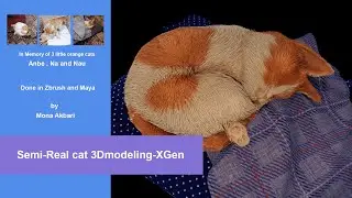 XGen 3Dmodelling_ ZBrush & Maya
