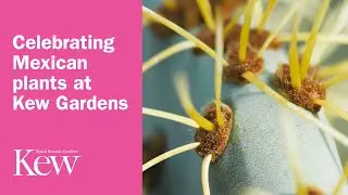 Celebrating Mexican plants at Kew Gardens