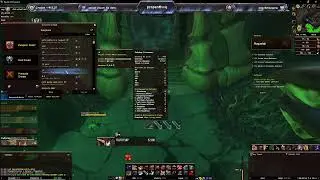 FEMALE RAID LEADER LOL