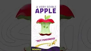 One Bite - RockyGo