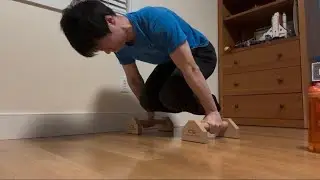 Push Up Day 5 | Parallettes + SMASHED TUCK PLANCHE RECORD
