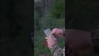 Tracking Turkeys with Compass Feature