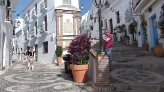 Frigiliana F de S Antonio - LOS GORILAS - A.M. Virgen del Carmen Durcal