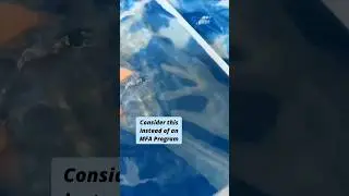Вместо программы MFA попробуйте художественную резиденцию