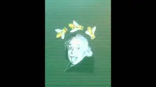 Albert Einstein's bee quote