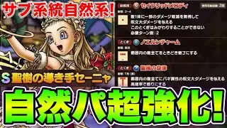 【ドラクエタクト】聖樹の導き手セーニャ性能評価！【サブ系統自然】