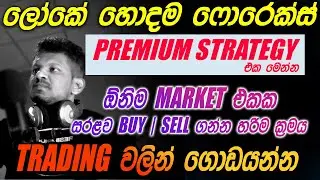 Forex Trading වලට හදපු ඕනිම මාර්කට් එකක ලොස් නැතුව Trade කරන්න පුලුවන් හොදම Forex Strategy එක මෙන්න