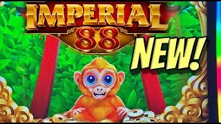 NEW SLOT: Super fun sesh on the new Monkey Legends Imperial 88 slot!