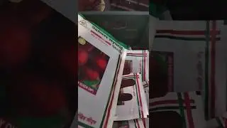 चुकंदर का बीज | विदेशी चुकन्दर का बीज | Imported Beetroot Seed | Beetroot Ruby Queen IMPORTED
