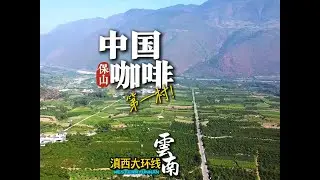 云南高黎贡山脚下的中国咖啡第一村是什么样？ #云南旅游 #咖啡 #高黎贡山 #我的打卡足迹 #保山
