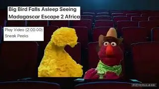 Big Bird Falls Asleep Seeing Madagascar Escape 2 Africa 2008 DVD Main Menu