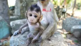 mommy dont catch me....hello papa Song cute baby Stormy s0 curious want touch my hand