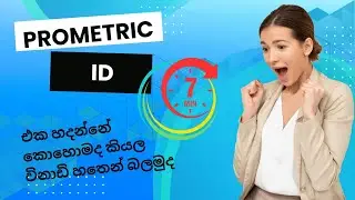 How to Create Your Japanese SSW Prometric ID