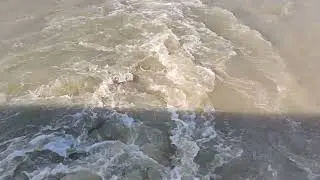 #padma #rivar #bd_boys #viralvideo #bd_boys #best_short_video #viralshorts #bangladesh #tangil