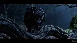 #forest #owl #scary #hollywood 