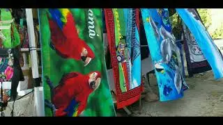 Panama City's closest island beach/ Ferry and Tour Taboga Island