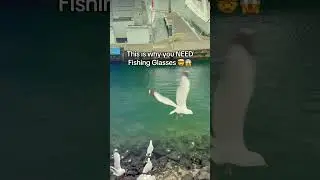Chat is this ai? 😆 #seaglasshunting #fishingequipment #fishinggear #fishingglasses
