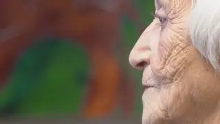 Mentally Stimulating Activities in Late Life and Risk of Mild Cognitive Impairment