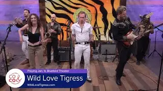 'Window Washer' by Wild Love Tigress on Good Friends Friday