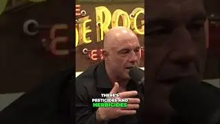 Joe Rogan Exposes Toxic Food Secrets: Make America Healthy Again! #shorts