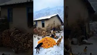 Fireside strength in the snow | Fuerza junto al fuego en la nieve | 雪中火堆的力量