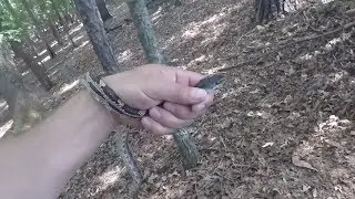 Metal Detecting w/ Zach Byrd Adventure Hour: Several Moons Ago