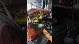 ОГРОМНЫЙ улей внутри автомобиля!
