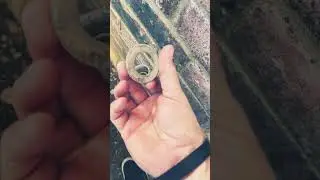 DIY: Best Way to Fix Outdoor Uplights That Get Water In Them 💡💧