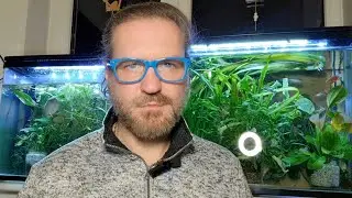 Cum să crești RAPID puii de pești de acvariu 🚀 | Metoda Power Growing