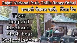 Rajaji National Park | Chilla Range | Chilla Safari Zone | Chilla Gate | Chila Wildlife Sanctuary