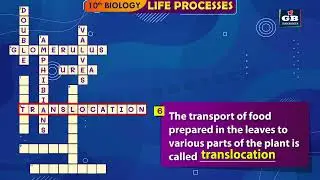Life process class 10 cross ward puzzle