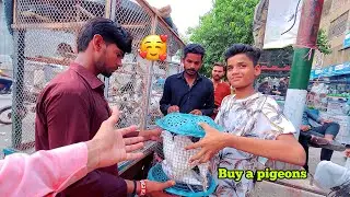 Yah Kon Sy Kabutar Le Liye 🥰☝️