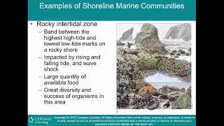 OCE 101 Lecture: Marine Communities