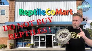 Where to Buy your Reptile? (Breeder vs. Pet Store)