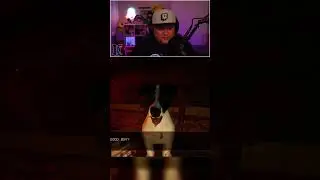 HE JUST WANTED TO GIVE ME A LIL SNIFF! | Rewind Or Die
