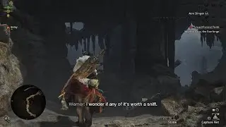 Monster Hunter Wilds: Hunting the Oil Bird